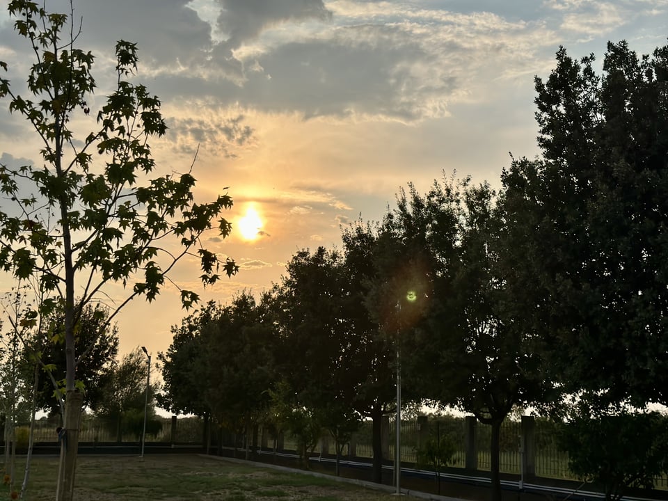 Camping area at Natyra